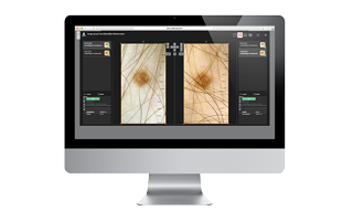 Digital Documentation